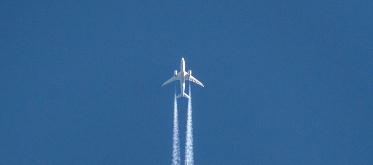 Domingo , diciembre 22º : Mejor oferta de vuelo